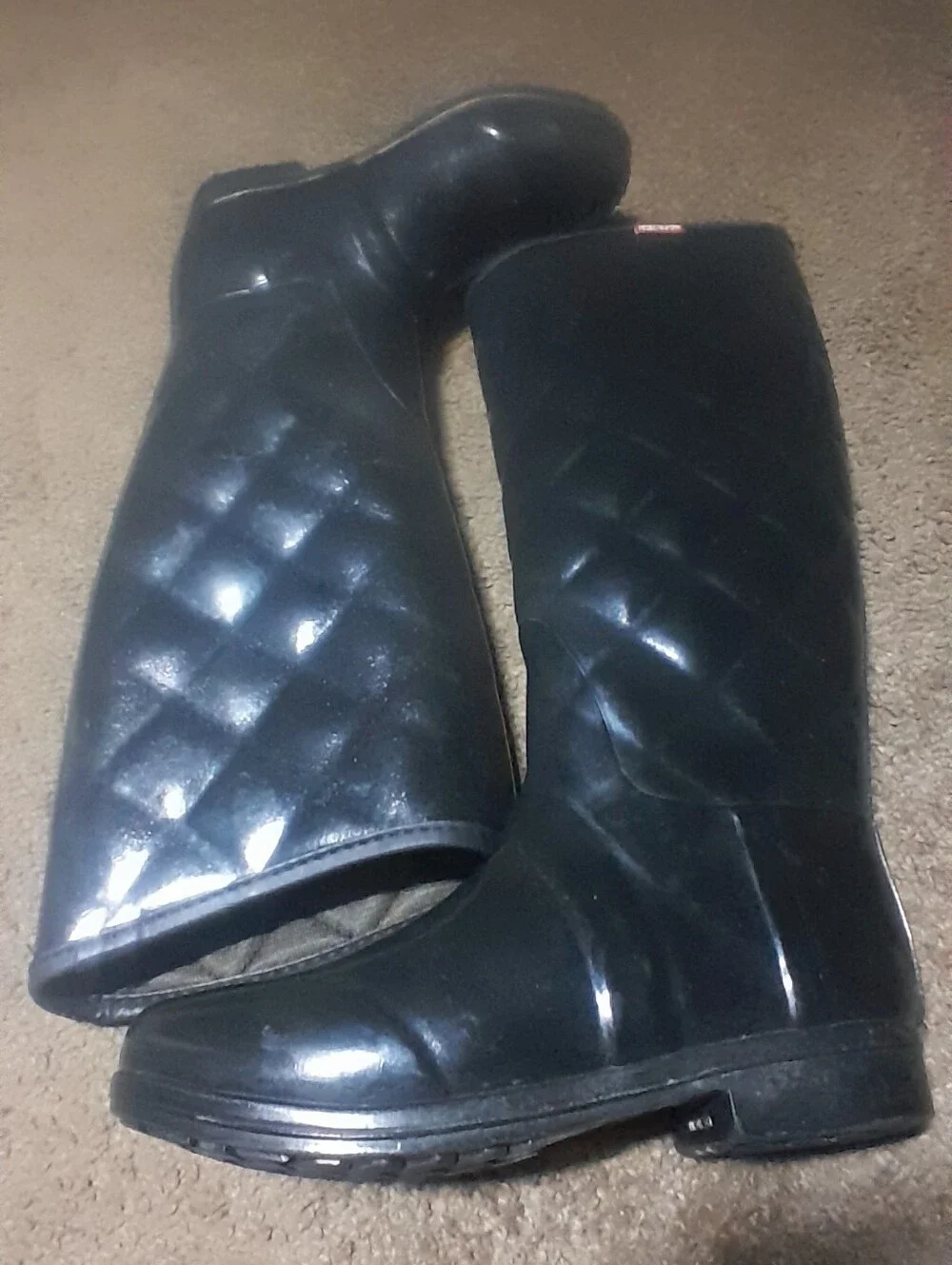 Hunter classic tall
